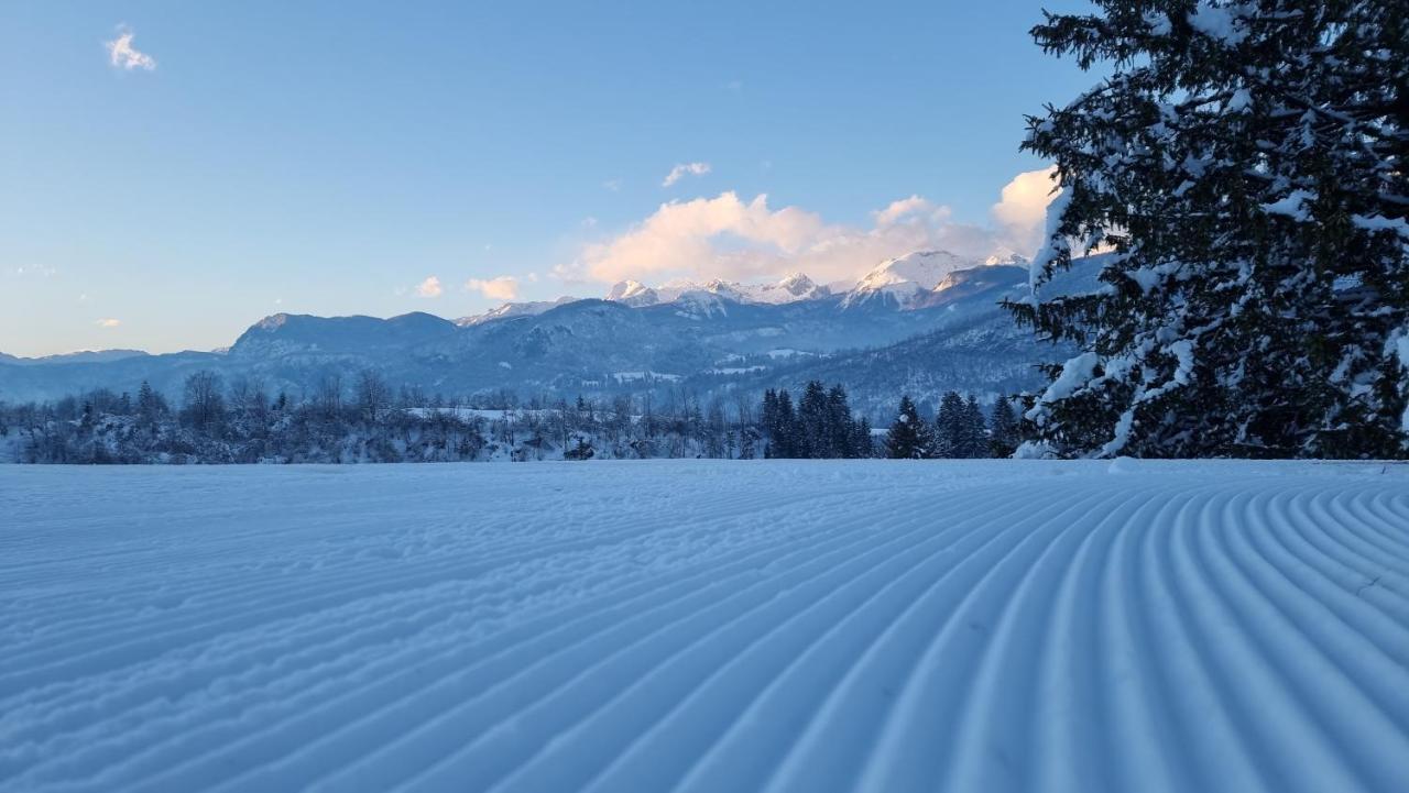 Pod Koblo Bohinj Apartments Zewnętrze zdjęcie